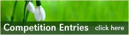 Competition Entries